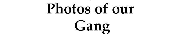 Photos of our  Gang