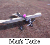 Max's Taube     