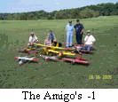 The Amigos  -1