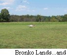Bronko Lands