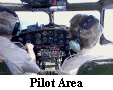 Pilot Area
